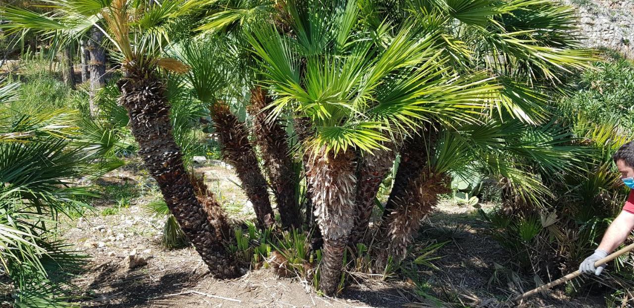 Apartmán La Pineta Al Mare Erice Exteriér fotografie